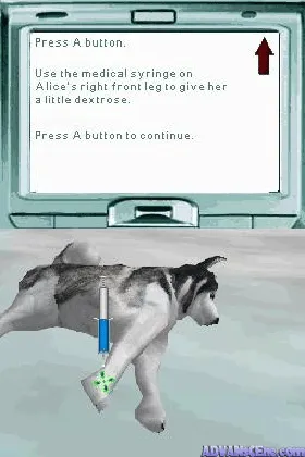 Pet Pals - New Leash on Life (USA) screen shot game playing